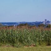 Vista a partir do templo: à esquerda a Ponte da Amizade; à direita, Ciudad del Este, Paraguai