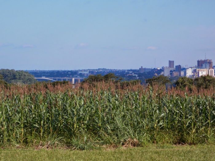 Vista a partir do templo: à esquerda a Ponte da Amizade; à direita, Ciudad del Este, Paraguai