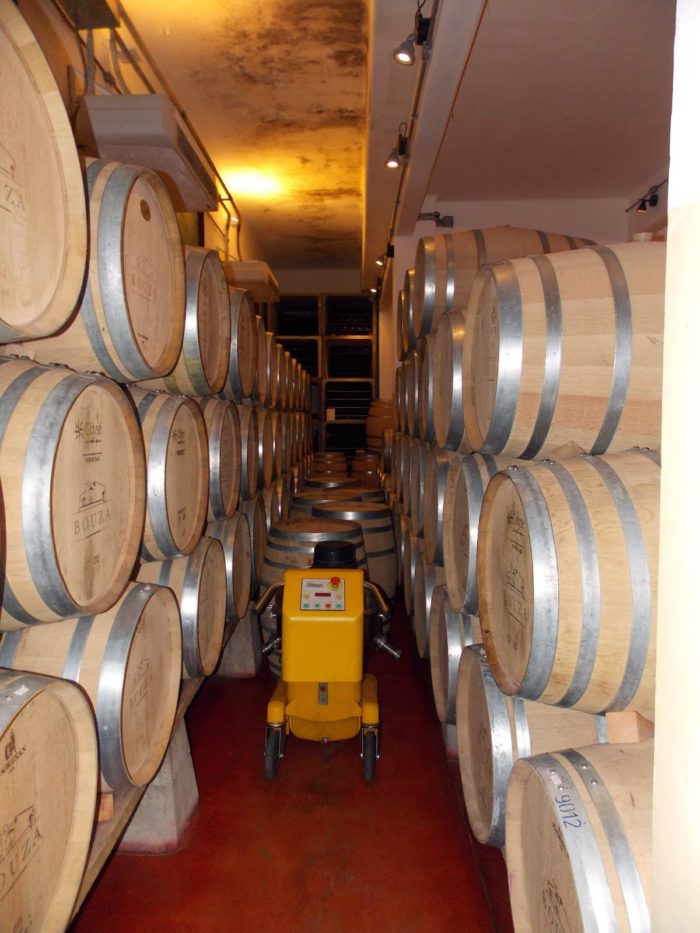 Barris de carvalho que armazenam o vinho