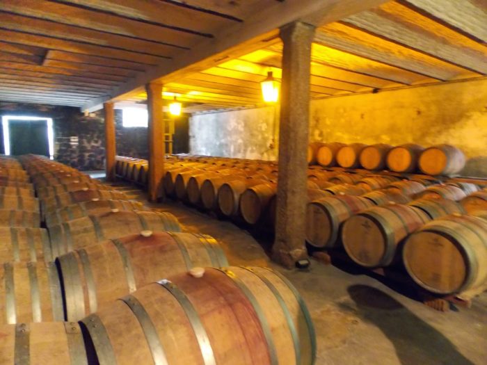 Barris de carvalho armazenando o vinho