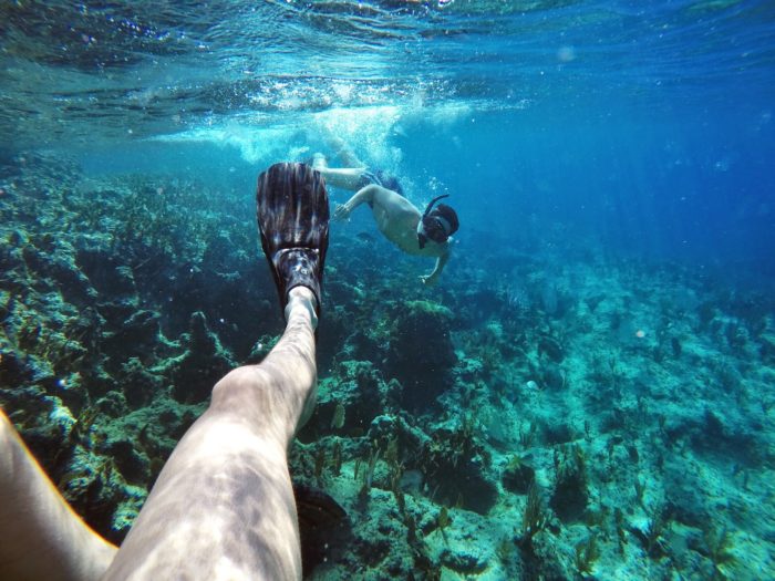 Snorkeling no Dead Man's Reef