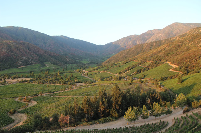 Vinícola Ventisquero, em Apalta, no Valle de Colchagua