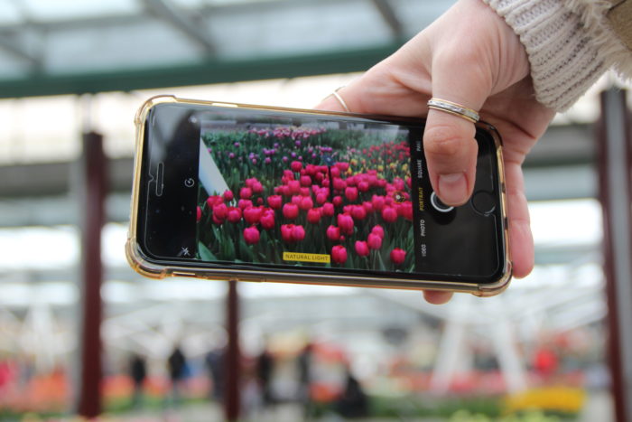 Keukenhof – Jardim das Tulipas