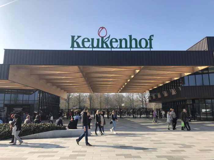 keukenhof 2020 jardim tulipas como chegar ingresso