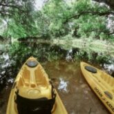 Kaiak em LOXAHATCHEE RIVER