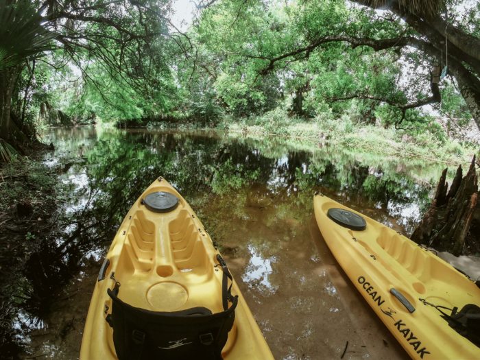 Kaiak em LOXAHATCHEE RIVER