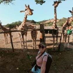 Safári na Califórnia | Conheça o Safari West em Sonoma